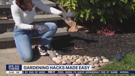 Gardening hacks made easy for spring