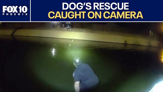 Glendale officer jumps into canal to rescue dog