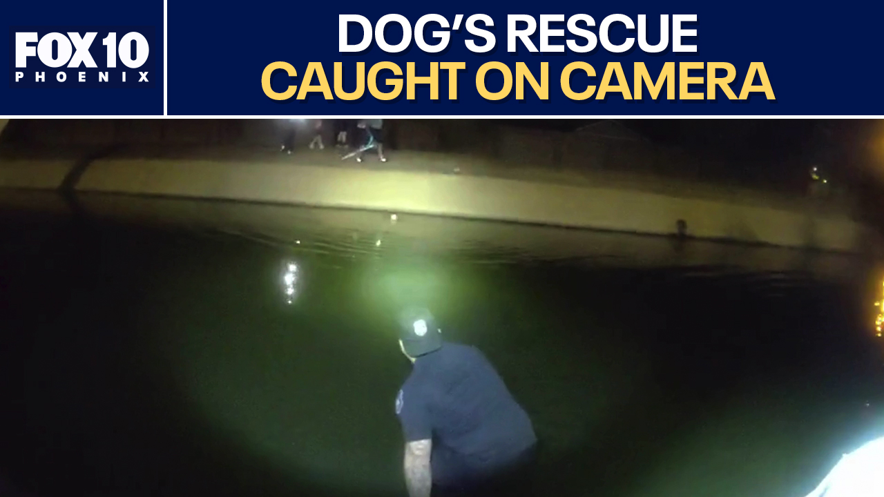Glendale officer jumps into canal to rescue dog