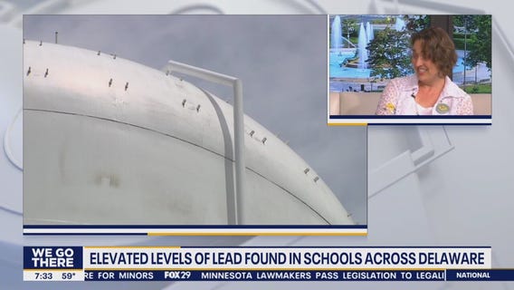Elevated levels of lead found in schools across Delaware