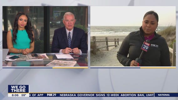 More dead dolphins found along NJ beach