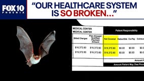 Tourist hit with steep bill after AZ bat incident