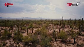 DON'T WAIT! This Phoenix Summer Special Could Save Your AC From Total Meltdown & Save You A Fortune!