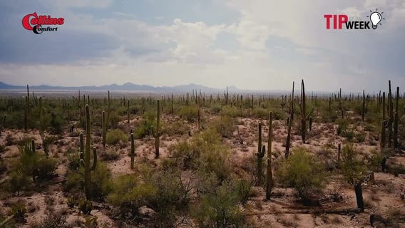 DON'T WAIT! This Phoenix Summer Special Could Save Your AC From Total Meltdown & Save You A Fortune!