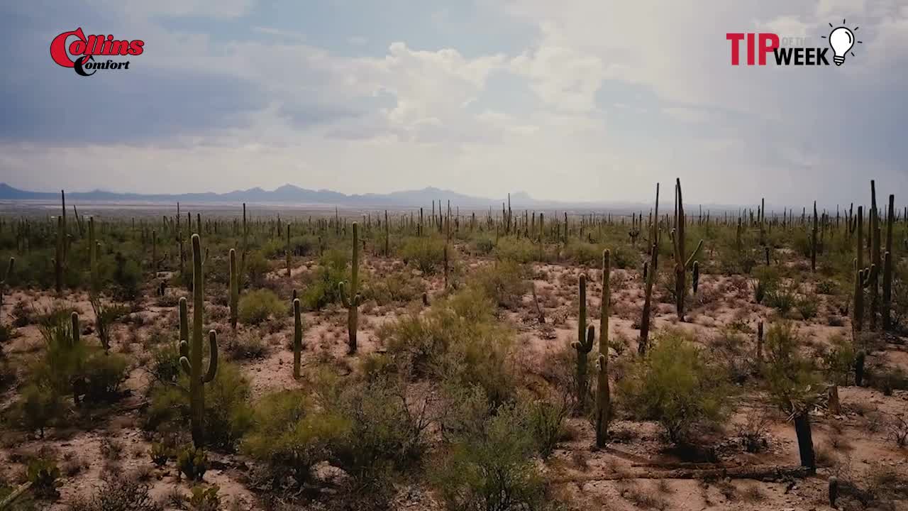 DON'T WAIT! This Phoenix Summer Special Could Save Your AC From Total Meltdown & Save You A Fortune!