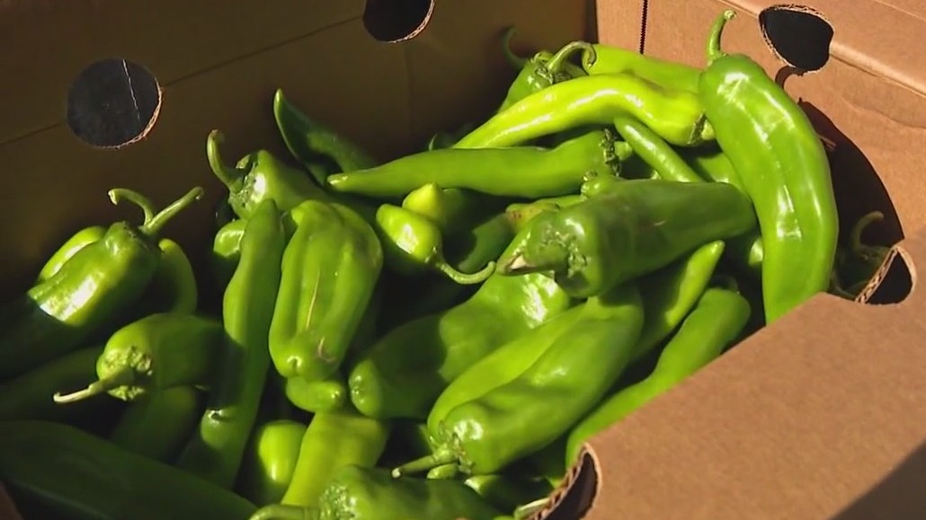Fry's hosts live green chili roasting events at select stores