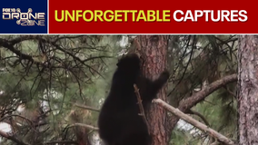 Best of, so far | Drone Zone