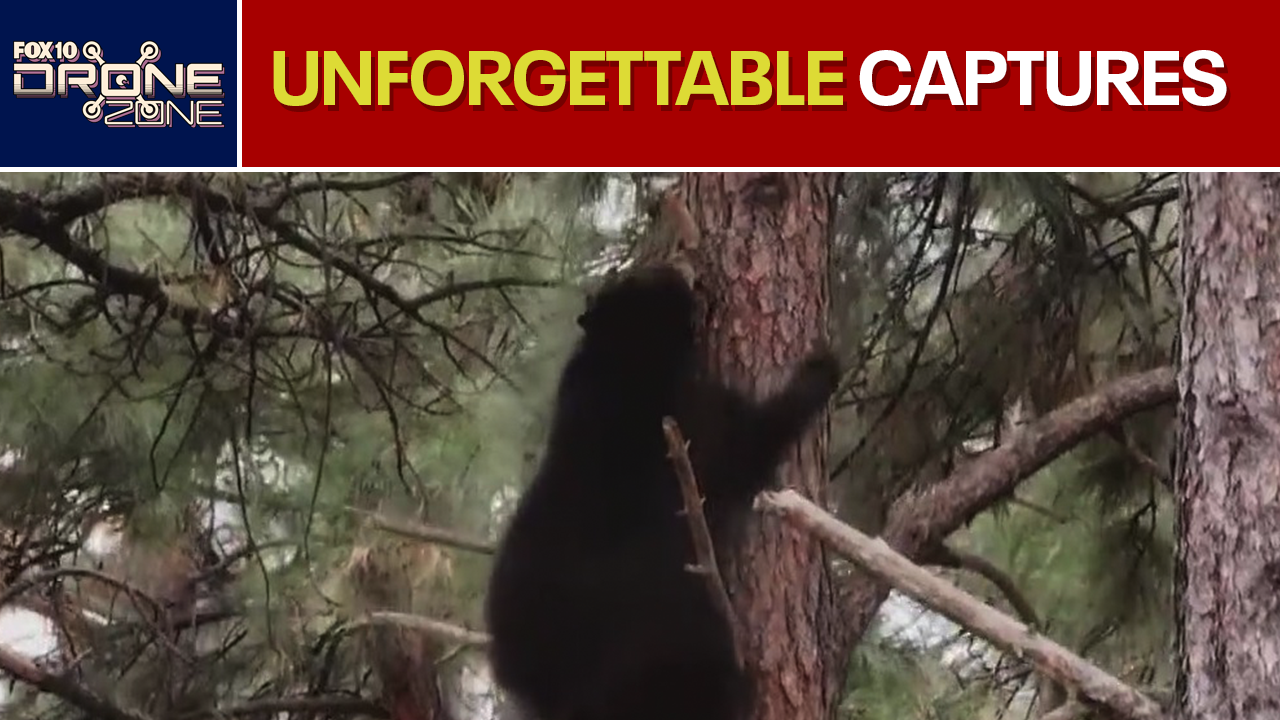 Best of, so far | Drone Zone