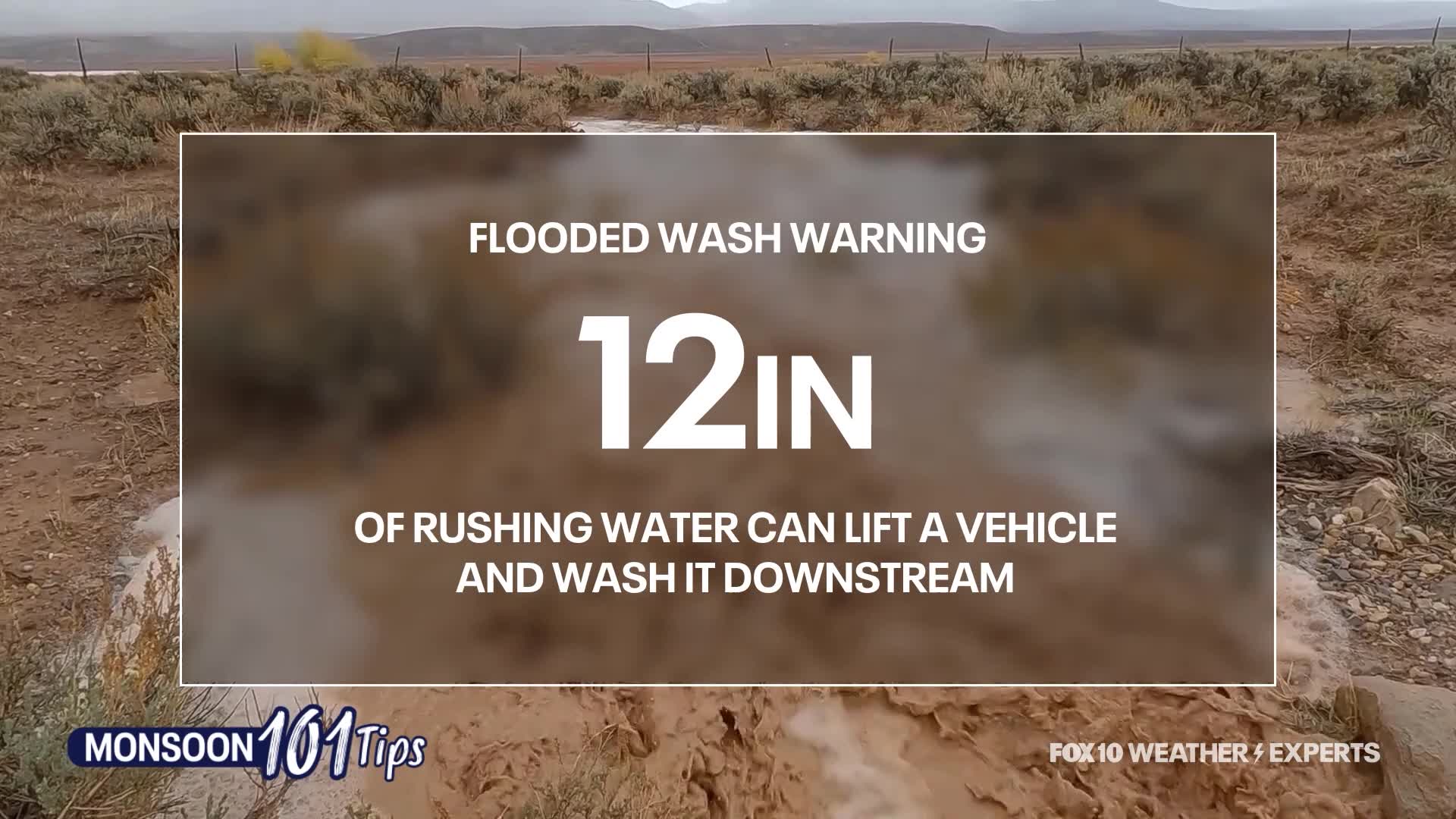 Monsoon 101: Don't risk crossing a flooded wash