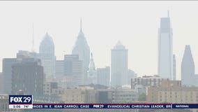 Experts offer tips for residents and pets to stay safe