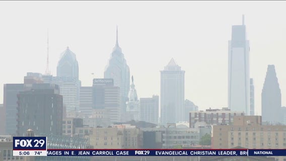 Experts offer tips for residents and pets to stay safe