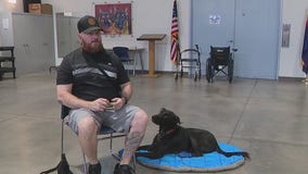 Soldier's Best Friend pairs Arizona veteran with service dog