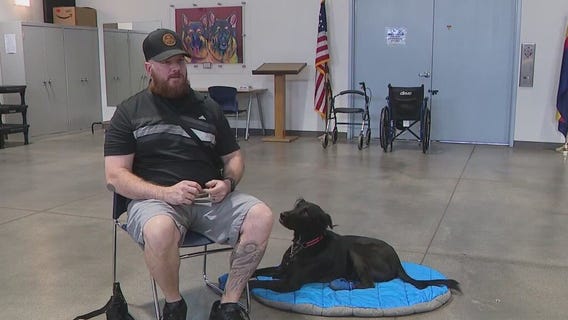 Soldier's Best Friend pairs Arizona veteran with service dog