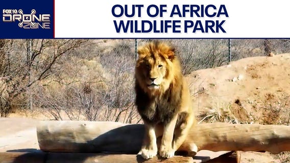 On safari | Drone Zone