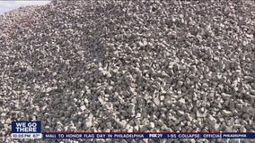 Delco company creates material to aid temporary rebuild of I-95