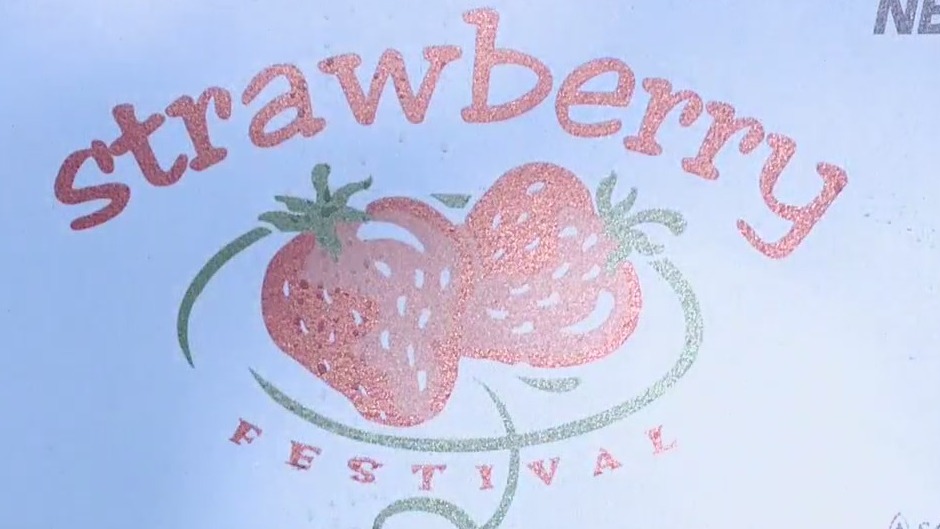 Cedarburg's Strawberry Festival back after COVID cancellations
