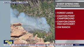 Sheep Spring Fire: Forest Lakes put on 'SET' status