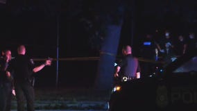 Milwaukee Wilson Park homicide, man jailed