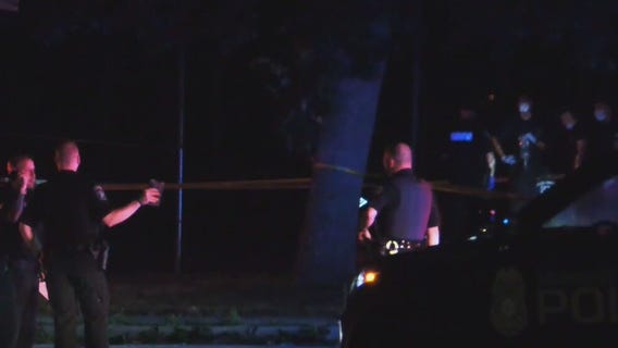 Milwaukee Wilson Park homicide, man jailed