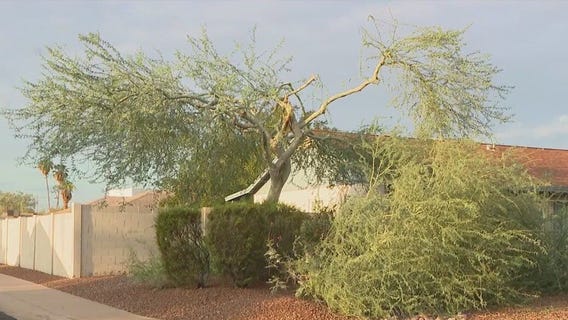 Monsoon storms cause damage across the Valley