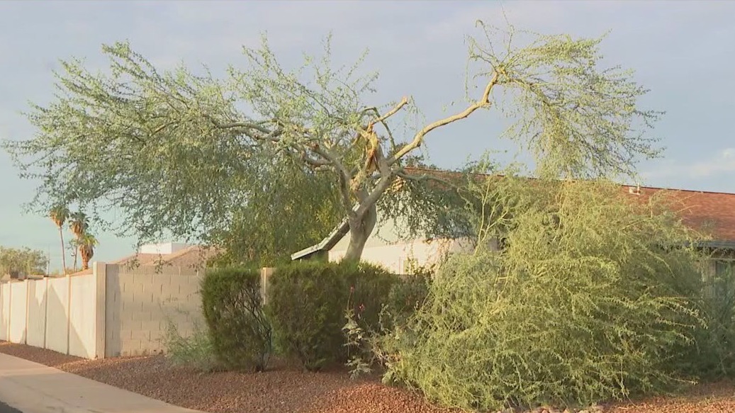 Monsoon storms cause damage across the Valley