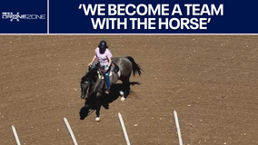 Whispering Hooves | Drone Zone