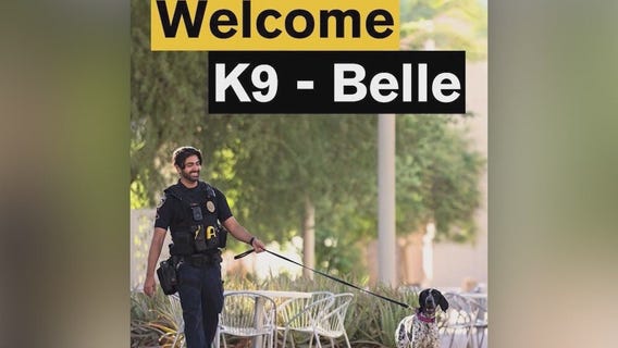 Meet ASU PD's K-9 Officer Belle