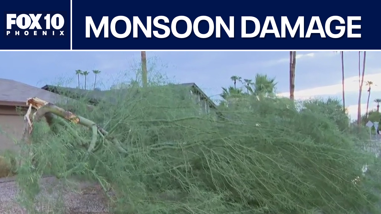 Storm damage, flooding across Valley from latest monsoon | FOX 10 Phoenix
