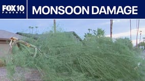 Storm damage, flooding across Valley from latest monsoon