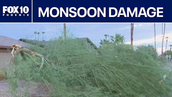 Storm damage, flooding across Valley from latest monsoon