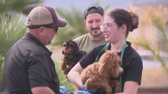 Dozens of dogs rescued from Litchfield Park home
