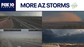 Dust storm, rain arrive in the Phoenix area