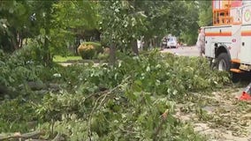 Camden County storm damage sees trees uprooted
