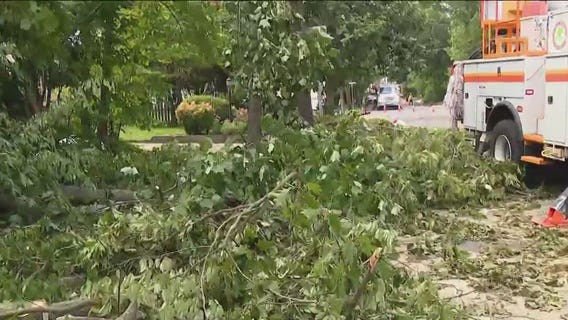Camden County storm damage sees trees uprooted