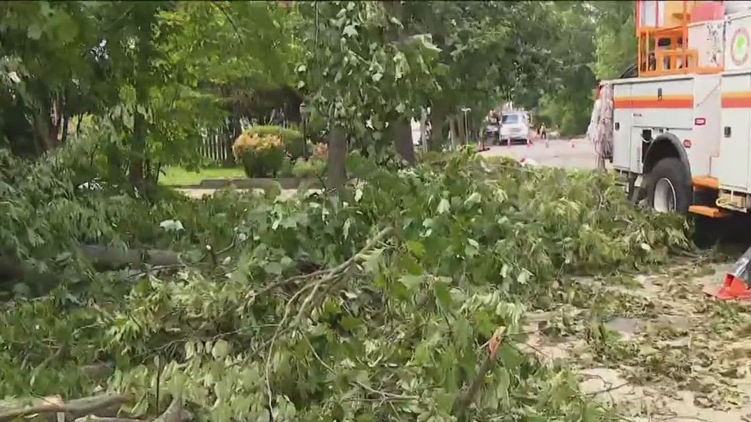 Camden County storm damage sees trees uprooted