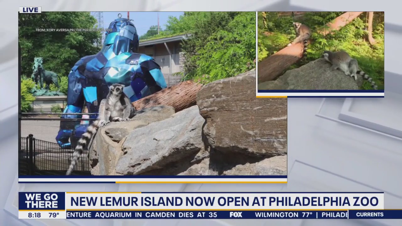 Philadelphia Zoo opens immersive Lemur Island