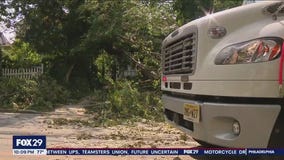 Fast moving Haddonfield storm creates widespread damage