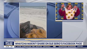 Whatcha Makin?: Beach day creations