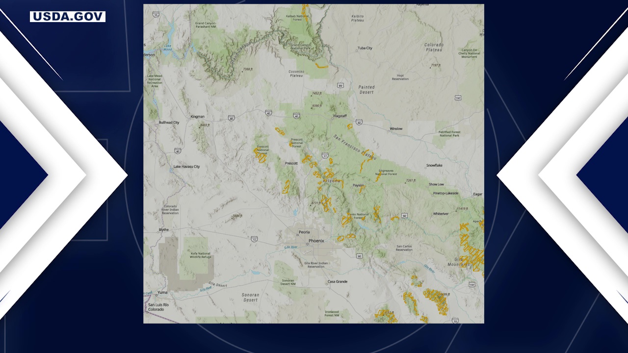1/3 of U.S. forest lands could lose protection