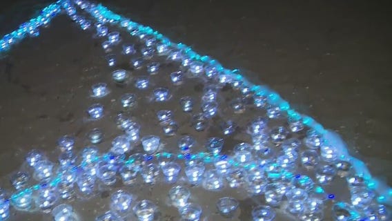 South Shore Beach among ?most contaminated in nation,' group says