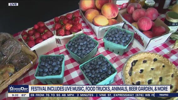 Blueberries, Bluegrass, Beers & BBQ Festival has it all