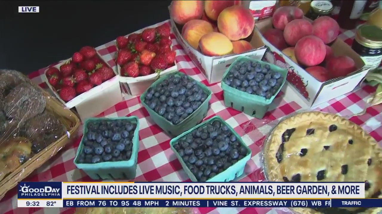 Blueberries, Bluegrass, Beers & BBQ Festival has it all