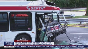 1 dead, as many as 12 injured after SEPTA buses collide