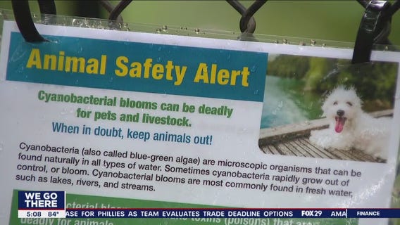 N.J. officials warn pet owners of toxic algae in park