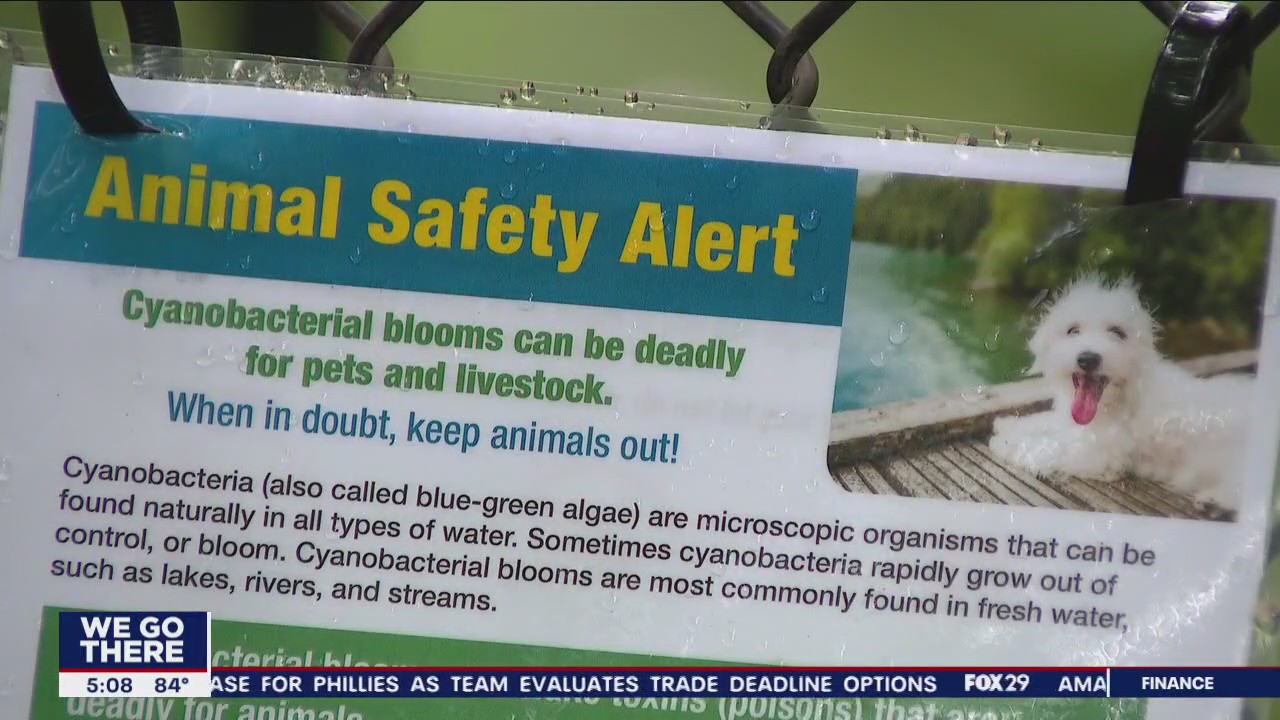 N.J. officials warn pet owners of toxic algae in park