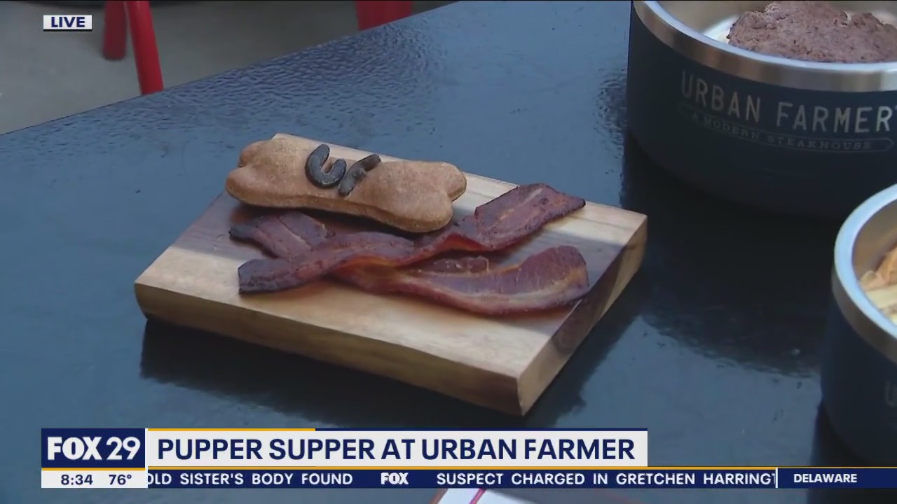 Urban Farmer's Pupper Supper has treats to make every dog's day