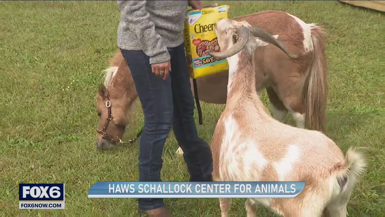 Get involved with HAWS Schallock Center for Animals