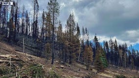 Dragon Bravo Fire nears full containment