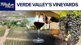 Arizona wine country | Drone Zone