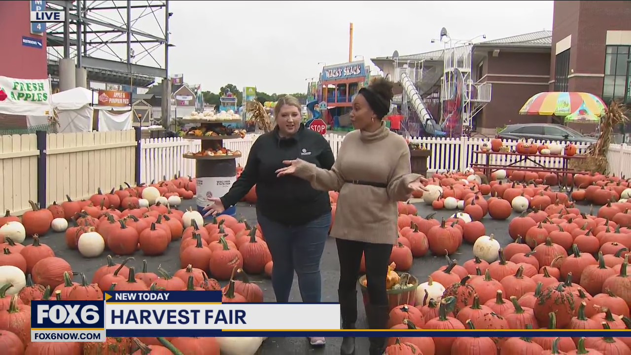 Pumpkins galore at Harvest Fair